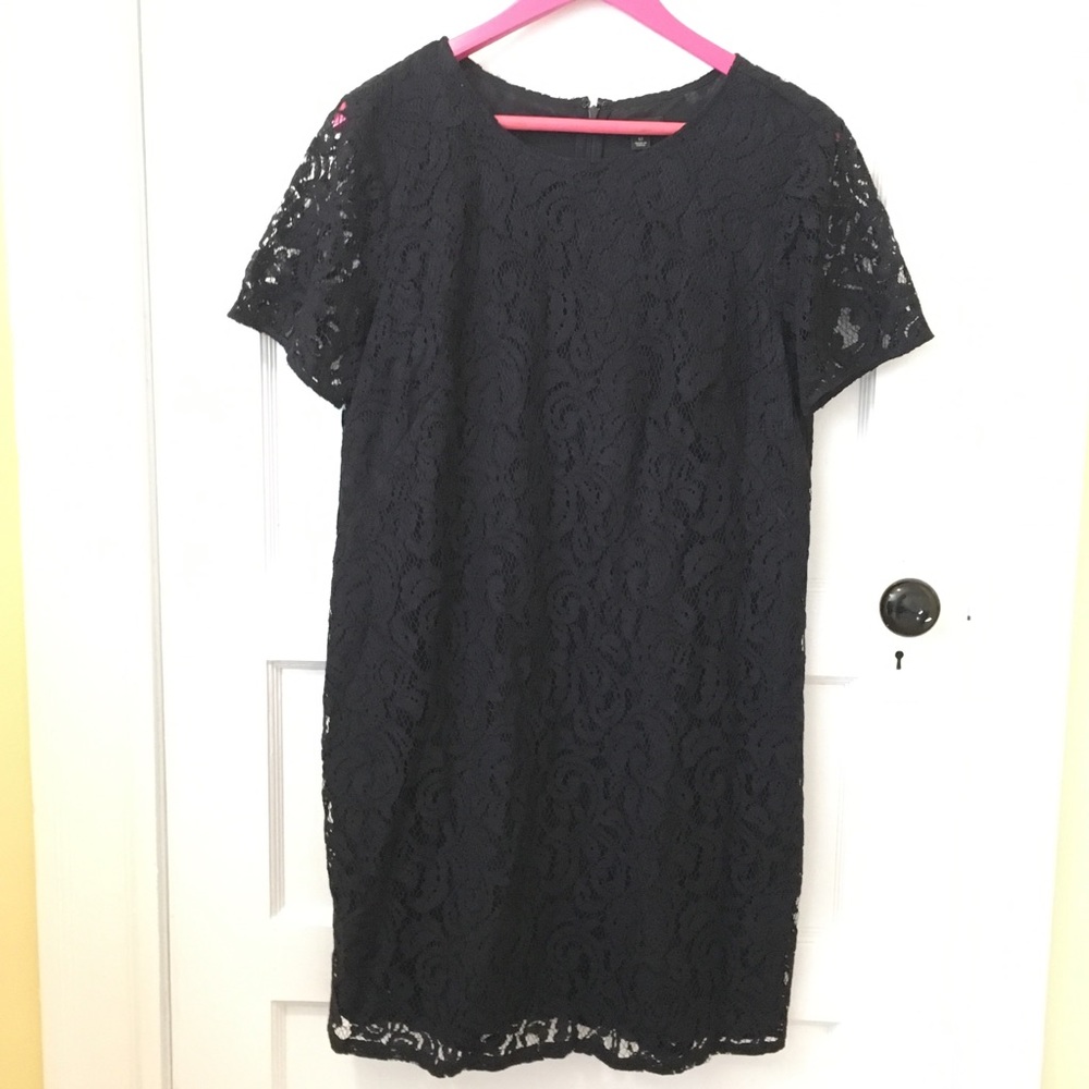 NWT Ann Taylor Lace Sheath Dress, Navy, 12